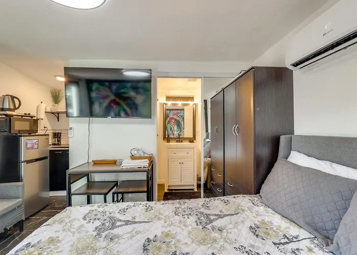 Near Downtown W/ Step-free Entry Apartment *